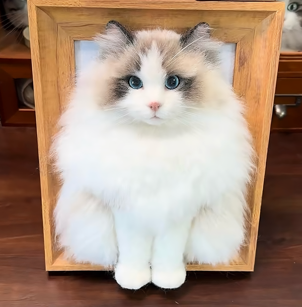 Petlovein Framed Pet Portrait