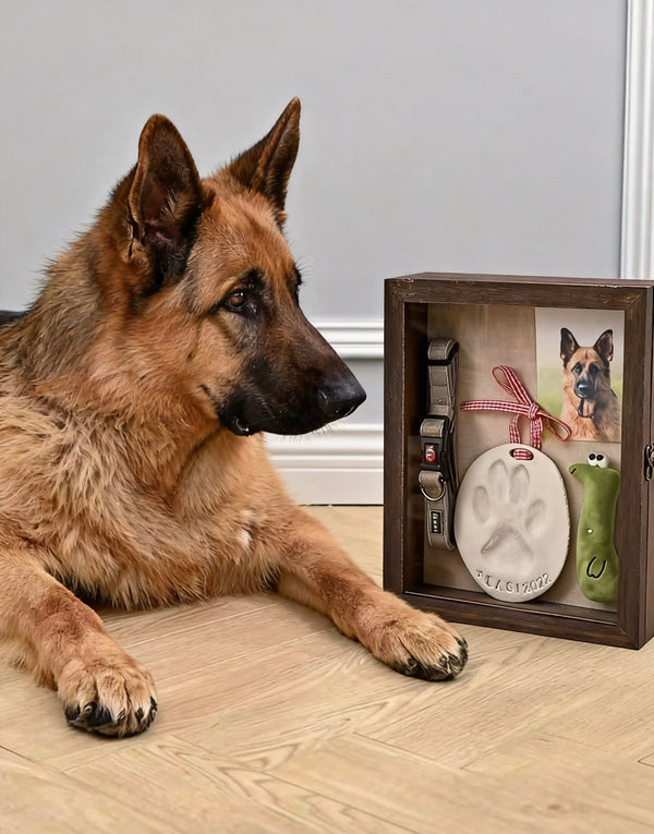 Petlovein Wooden Keepsake Shadow Box for Pets